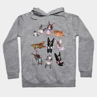 Bunny Yoga Hoodie